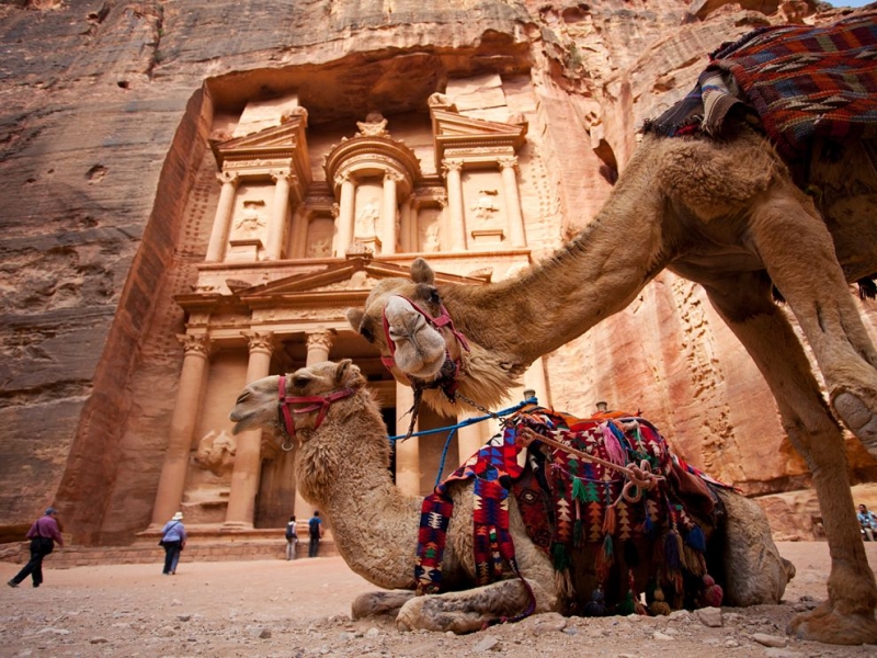 camels-petra-jordan