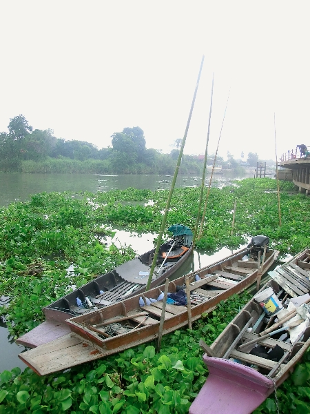 Long tail boats sul Chao Phraya