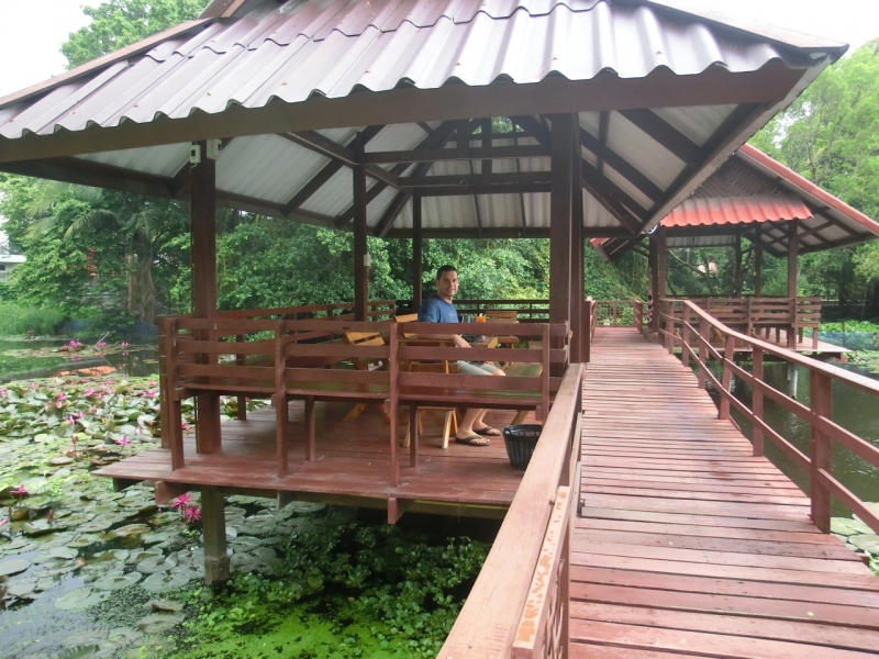 baan lotus Ayutthaya