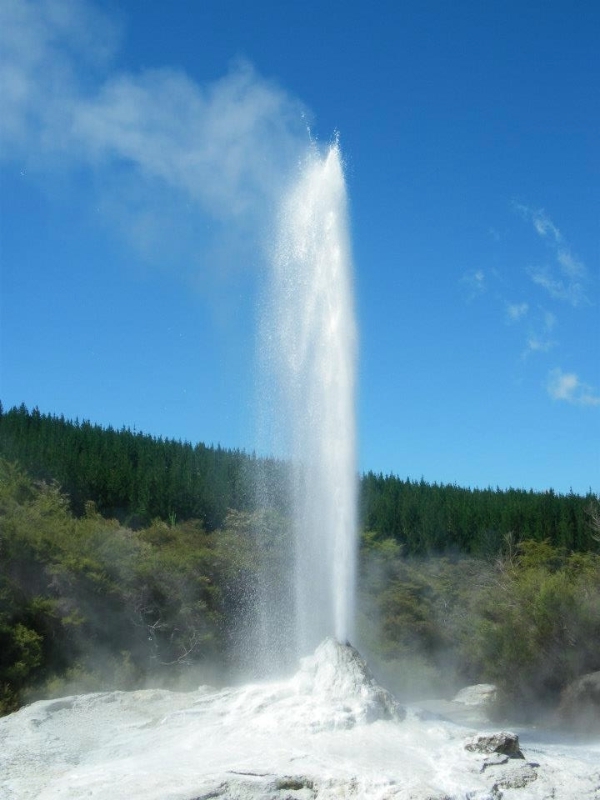 lady knox geyser