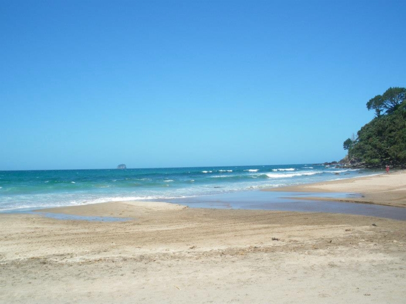 spiaggia NZ