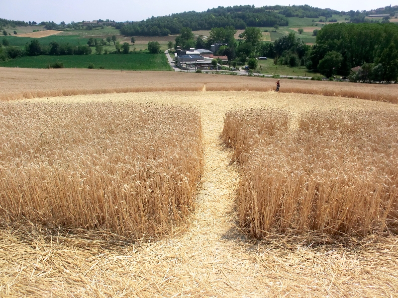 crop circle robella