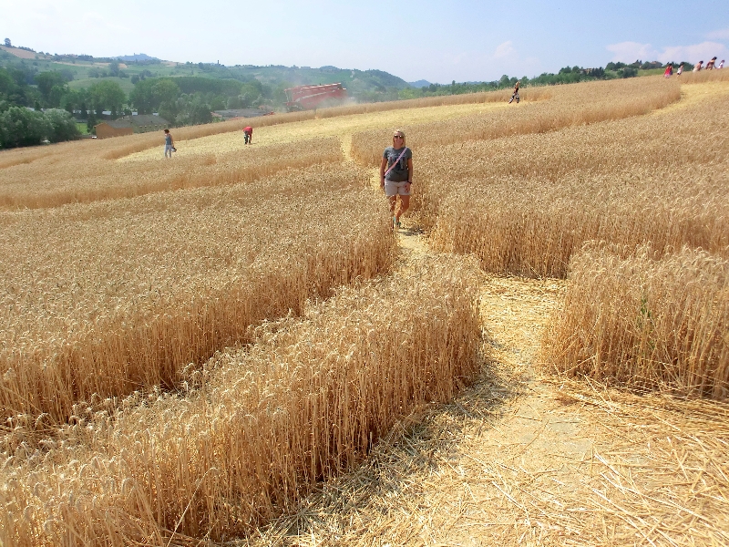 dentro al crop circle