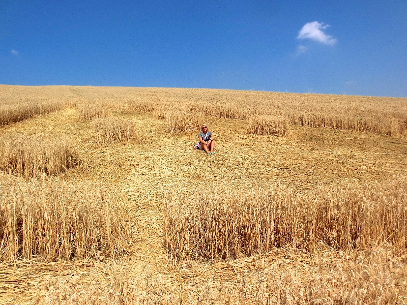 crop circle robella