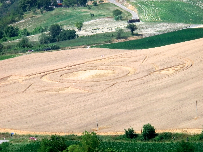 crop circle robella