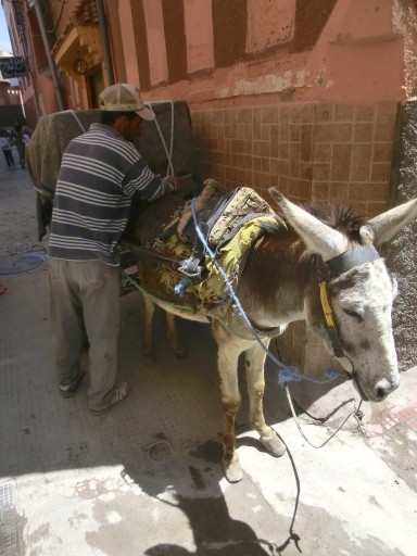 marrakech-asino