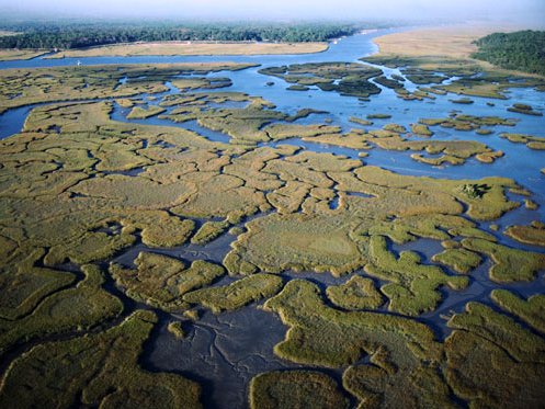 Everglades