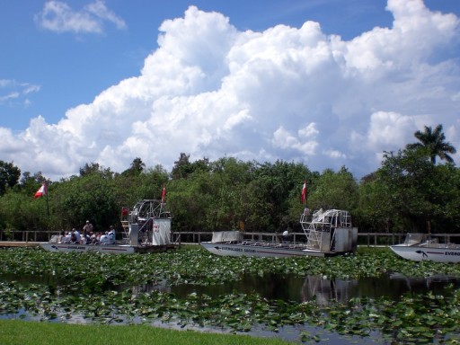 everglades2