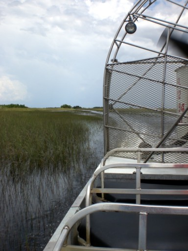 everglades3