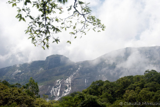 monte-mulanje