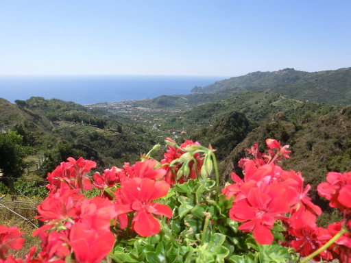 savoca-panorama