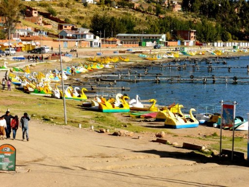 pedalò a cigno, lago titicaca, copacabana