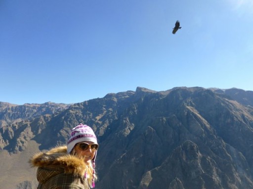 canyon colca, condor perù, cruz del condor