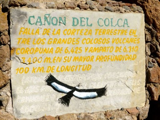 canyon colca, condor perù, cruz del condor