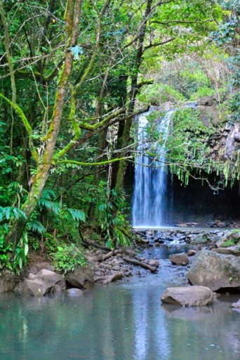 twin falls hawaii