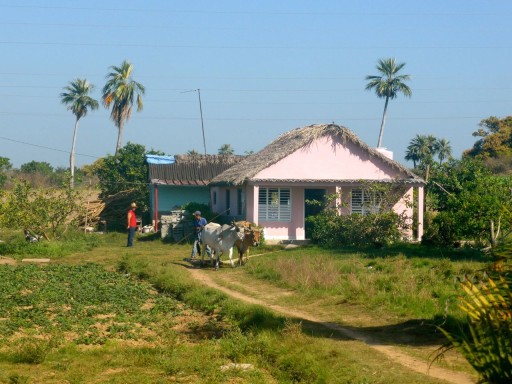 fattoria cuba, hacienda cubana, valle vinales