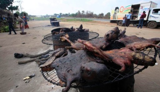 cibo di strada ebola