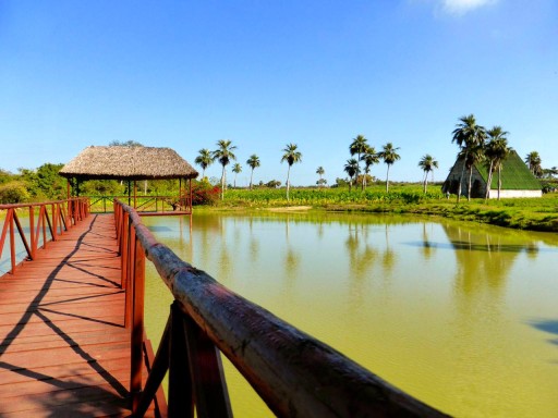 valle vinales, campagna cuba