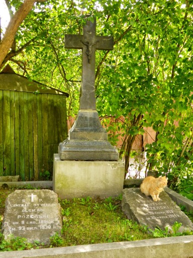 gatti nell'antico cimitero vilnius lituania