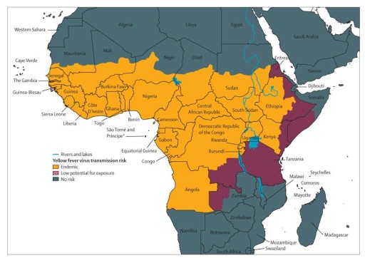 febbre gialla mappa africa