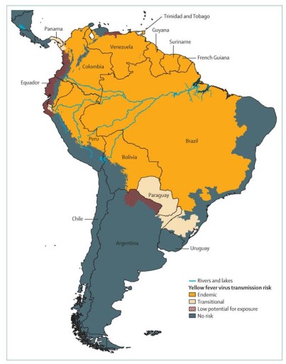 mappa febbre gialla sud america