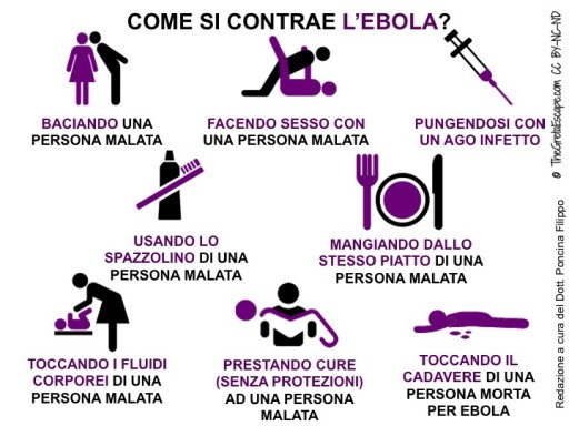 Come si trasmette l'Ebola? Tutto quel che c'è da sapere per prevenire il contagio - © TheGretaEscape.com