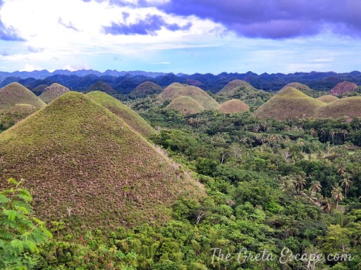 Chocolate Hills