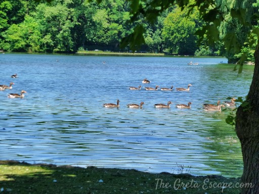 Englischer Garten