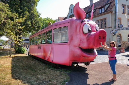 Schweine museum