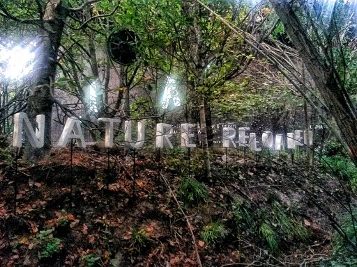 Nature reloaded e breath sono i messaggi positivi del padiglione Austria arredato a bosco