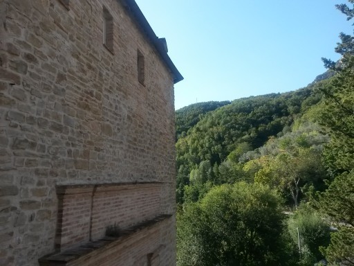 Vista dalle mura del borgo sul fitto bosco facente parte del Parco della Gola della Rossa e di Frasassi