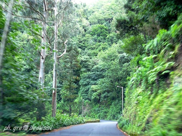 Parco Naturale di Madeira