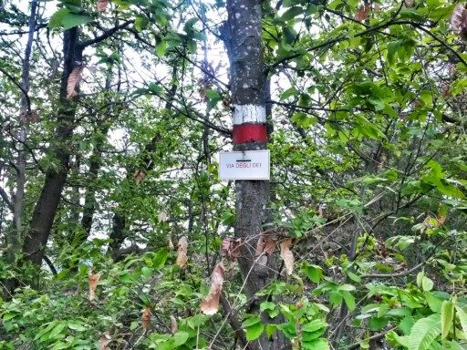 Un passaggio nel bosco e un segnale chiaro affisso all'albero