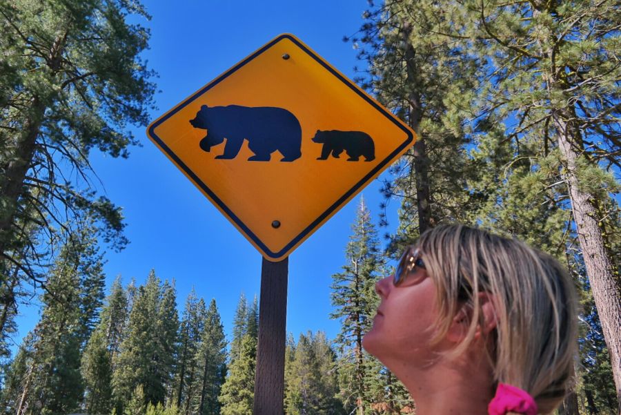 Yosemite Park