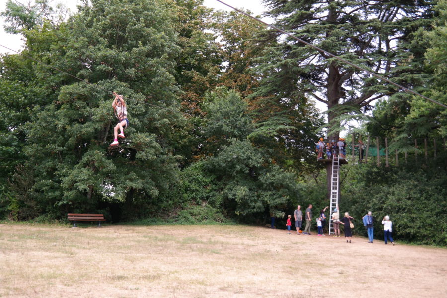 percorso sugli alberi