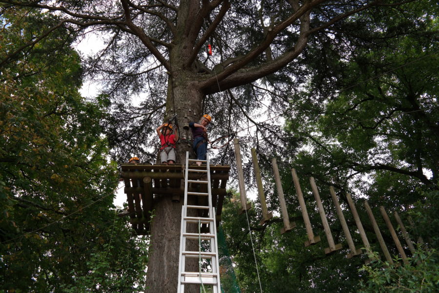 percorso sugli alberi