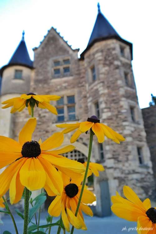 chateau d'Angers