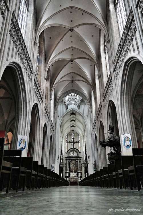 cattedrale di Anversa
