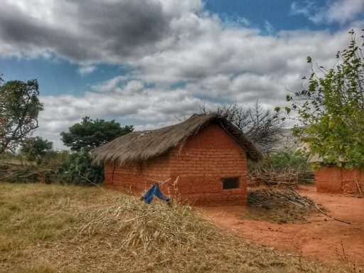 Attorno alle case rurali in mattoni di terra rossa si svolge la vita contadina in Tanzania 