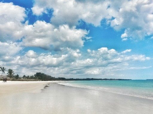 Il relax vicino a Dar Es Salaam è possibile nella bellissima Pwani Beach