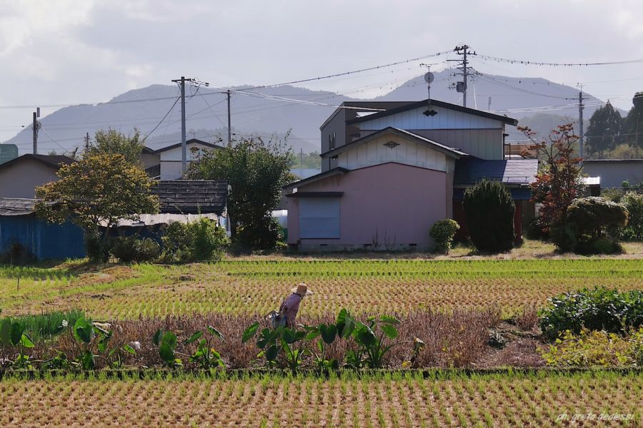 capitale dei samurai