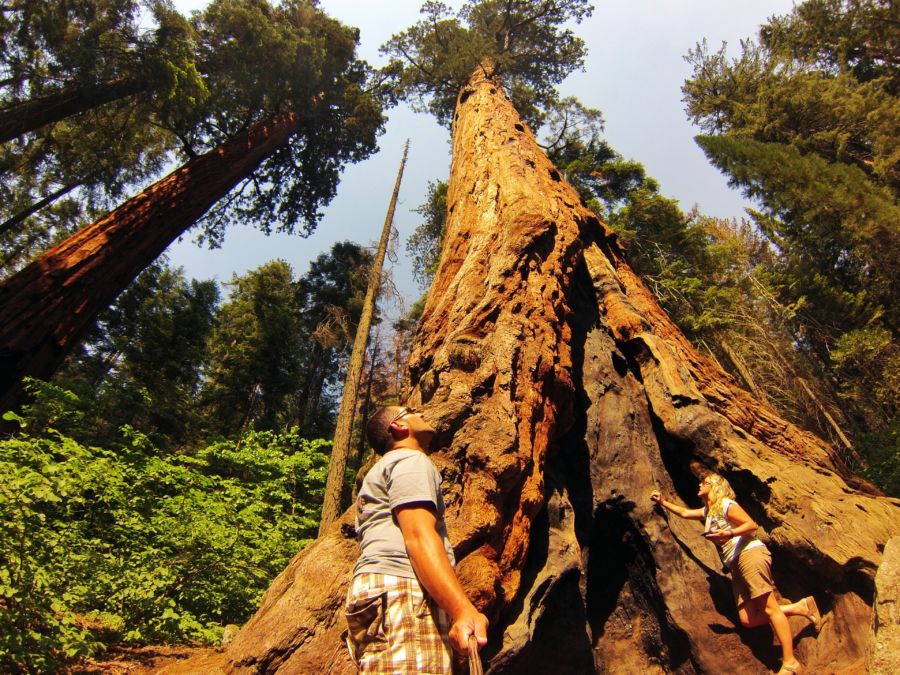 Sequoia National Park