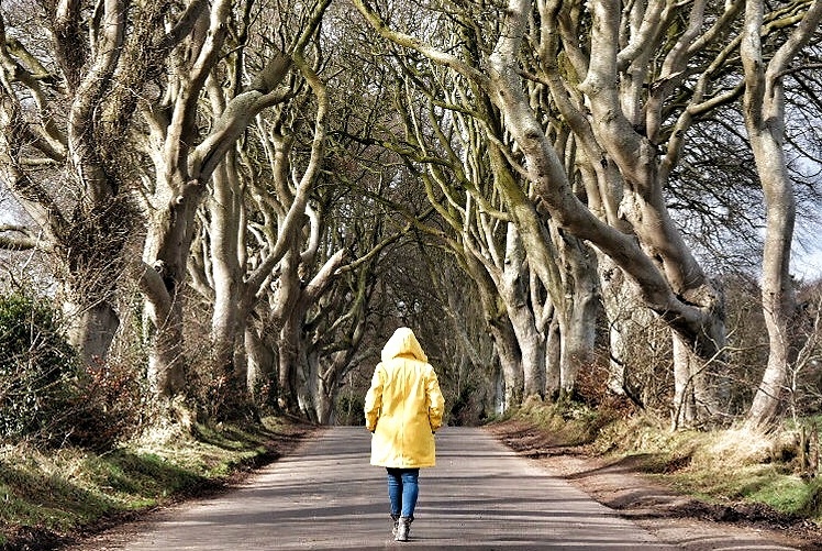 The Dark Hedges