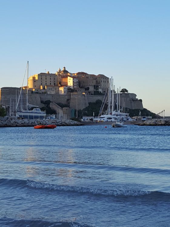 Calvi