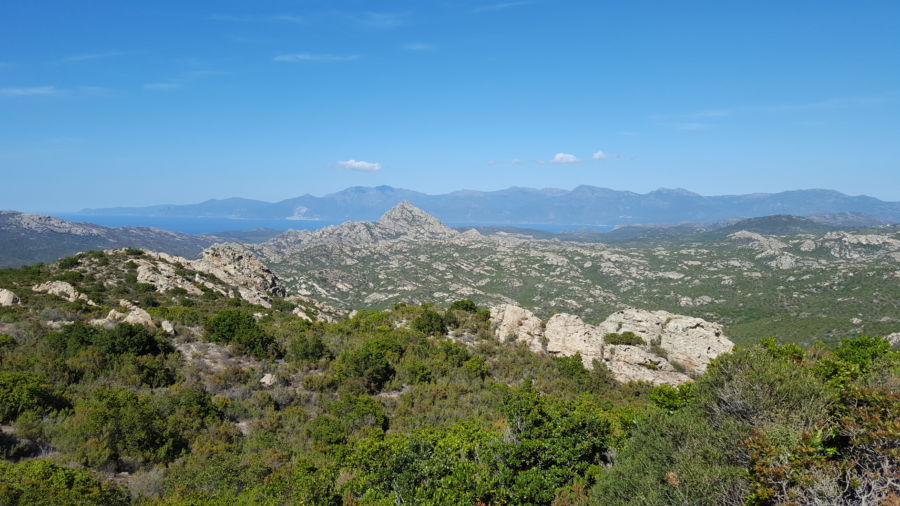 corsica