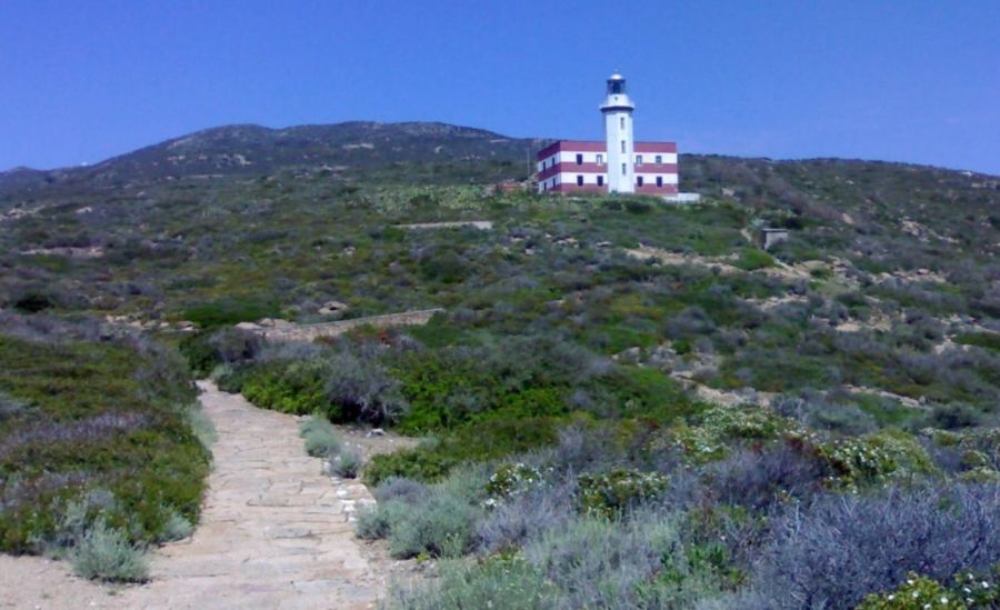 isola del Giglio