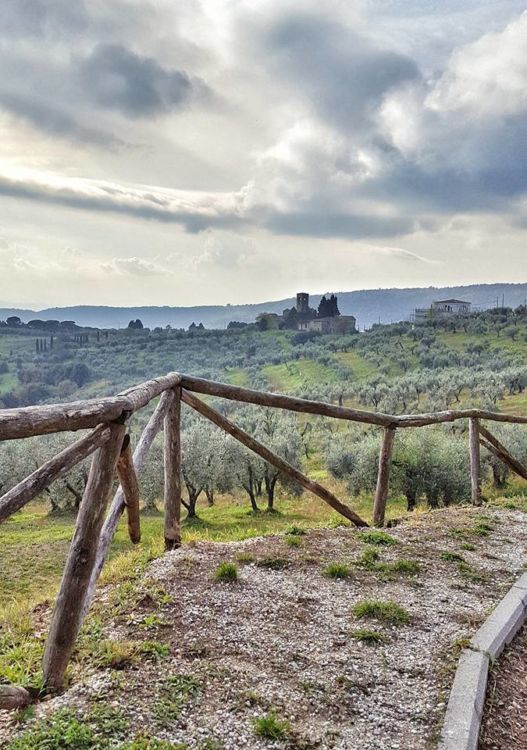 Tenuta Artimino