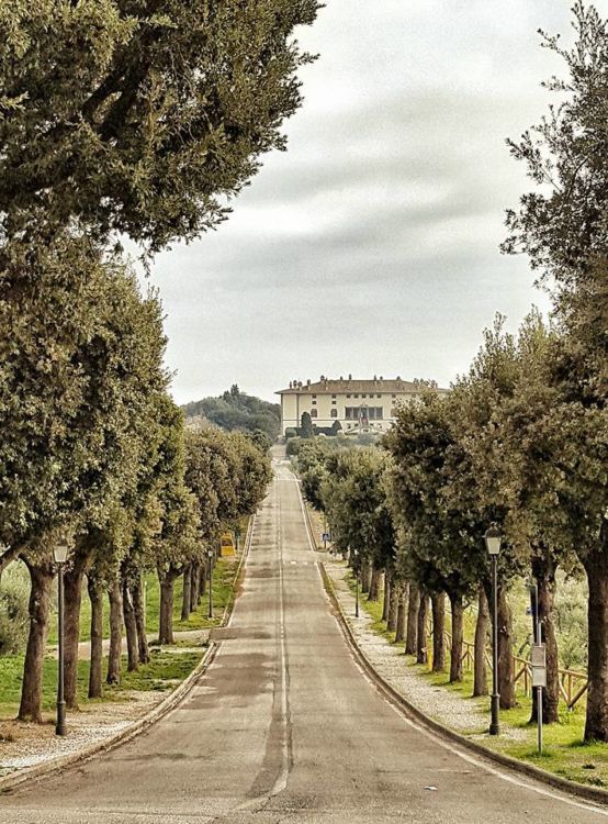 Tenuta Artimino