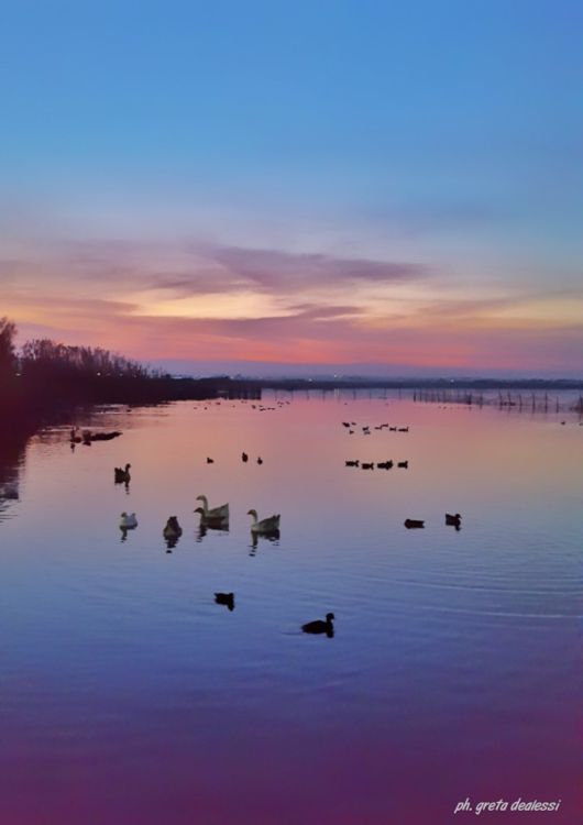 lago di Lesina