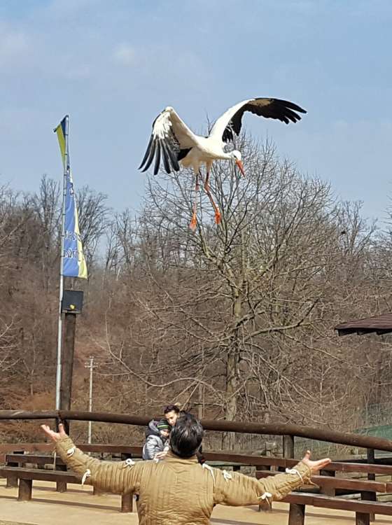 Safari Park Pombia